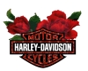 Red Rose and Harley