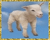 ANIMATED BABY LAMB