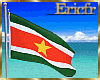 [Efr] Suriname flag v2