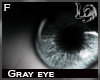 [LD] Gray Eyes Female