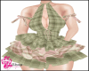J| Dress Junina 2025 /3