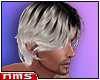 NMS- Model Hair