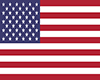 Chihuahua USA Flag Tag