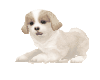 Puppy Dog Animated