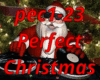 Perfect Christmas