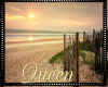 !Q Ocean Frame Vintage