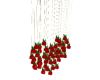 Hanging Roses
