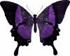 6v3| Purple Butterfly