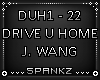 Drive You Home - J. Wang