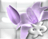 blossom purple flower