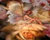 Rose Garden Fairy
