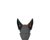 Pan Ears