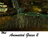 Animated Grass 2