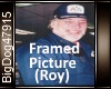 [BD]FramedPicture(Roy)
