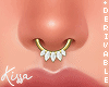 DRV. Anyshape Septum F