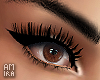 Teri eyeliner