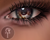 HLS|Allure| 16