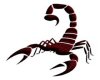 Scorpion Tattoo Set