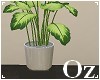 [Oz] - Plant green 1