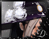 .:D:.WITCH 2 BUNDLE
