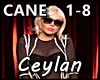 Ceylan-Cane