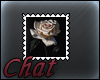 [Chat] White Rose Stamp2