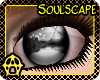 [A] Soulscape Grey