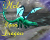 !M-Aqua Dragon