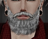|TH| Beard Gray