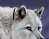 Snowy
