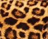 leopard Top