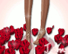 {J} Lovely Foot Roses