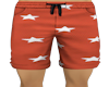 ! CHILLZ BEACH TRUNKS