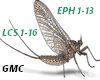 GMC Ephémère - 5 Sens
