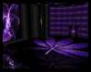 (DP)Purple Haze NigtClub