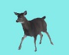 2 D Deer Statue