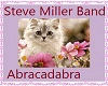 Steve Miller Band