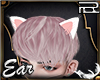 |RZ| Cat Ear move [W]