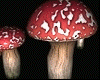 14 fillers - mushrooms