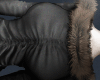 y̷ Black fur