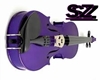 (SZ)Purple Violin +Song