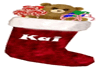 Kai's Stocking