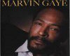 Marvin Gaye music player