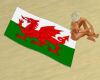 G* Welsh Beach Towel