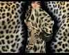 *.* leopard gold coat&T
