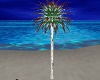 Mocha Xmas Palm Tree
