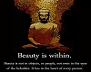The beauty within poster
