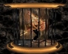 RUST WALL DANCE CAGE