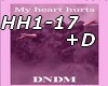 HH1-17 +D