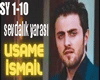 SEVDALIK YARASI